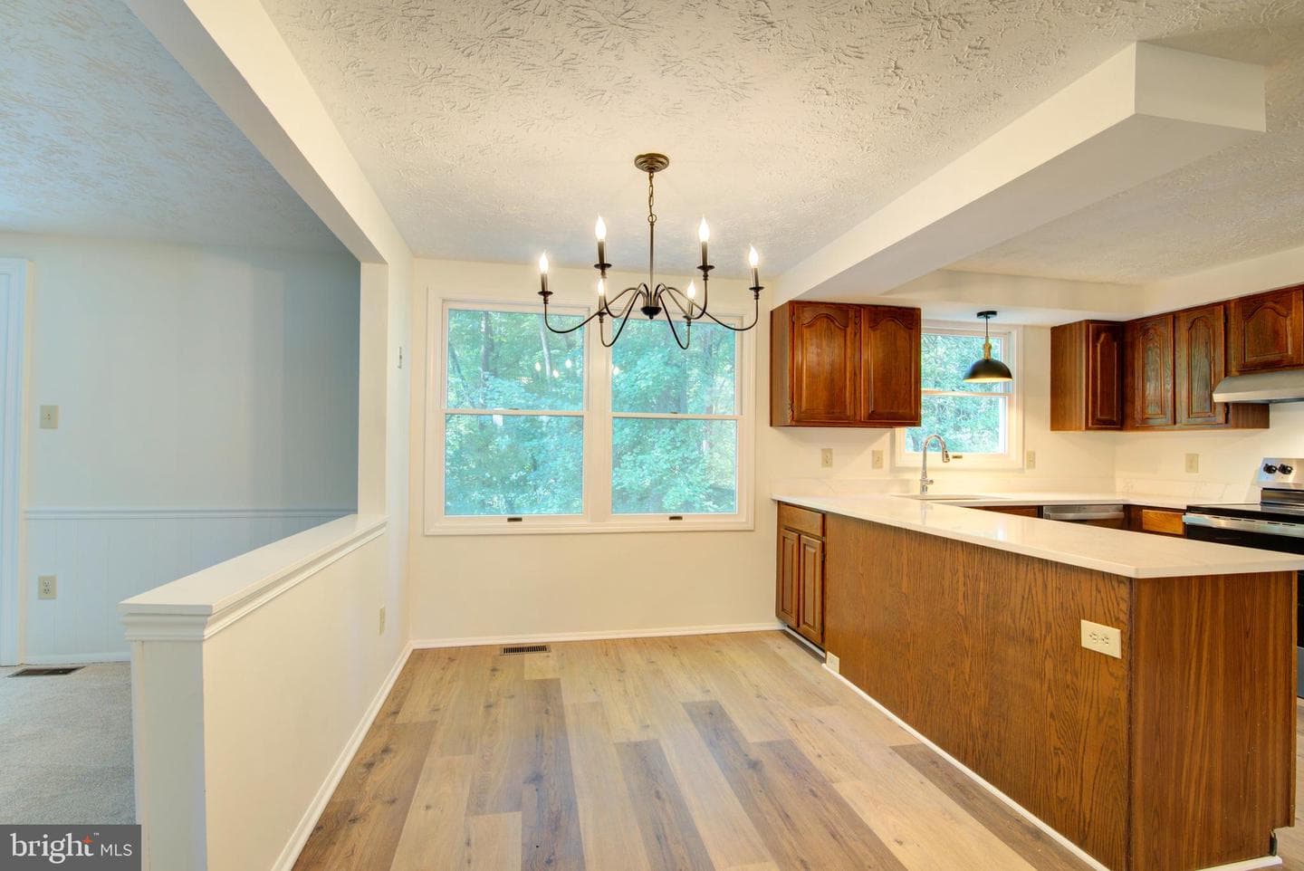 10901 Santa Clara Drive photo 13
