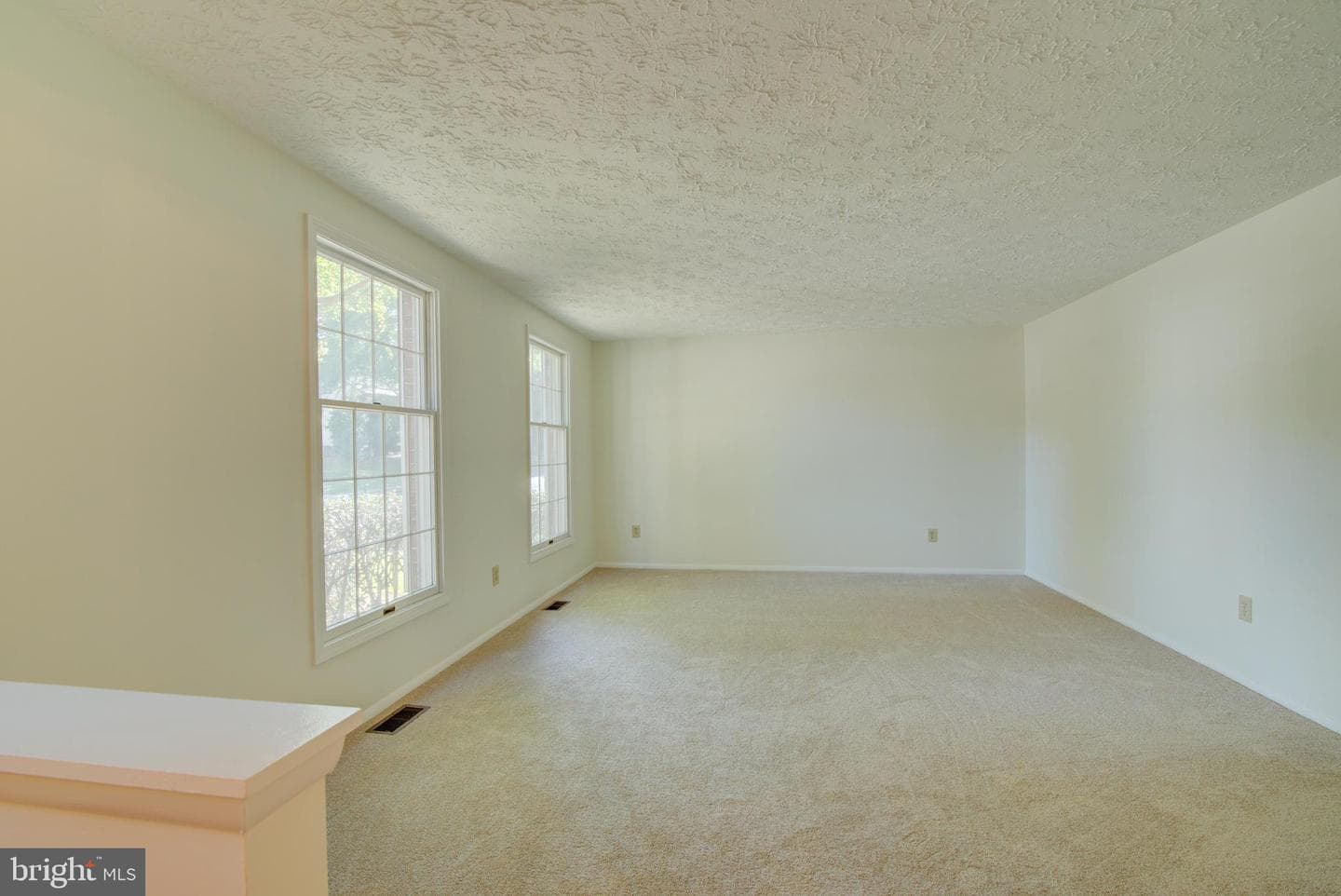 10901 Santa Clara Drive photo 7