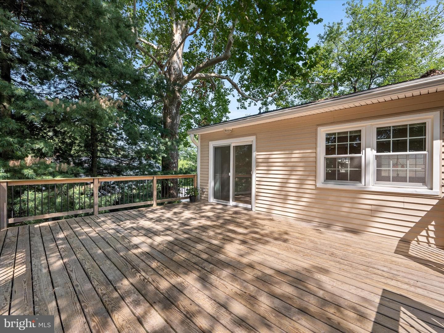 855 Park Avenue photo 35