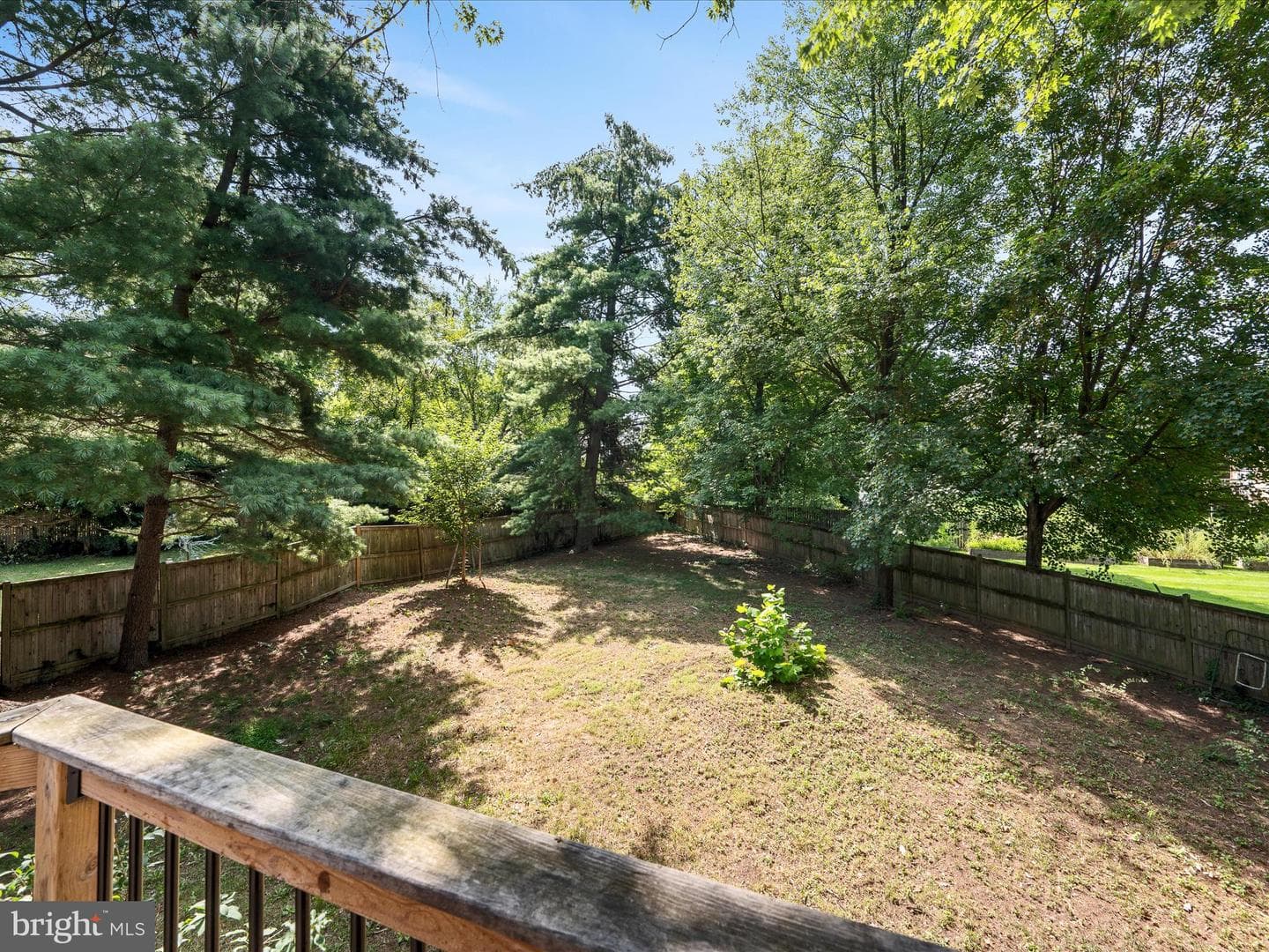 855 Park Avenue photo 36