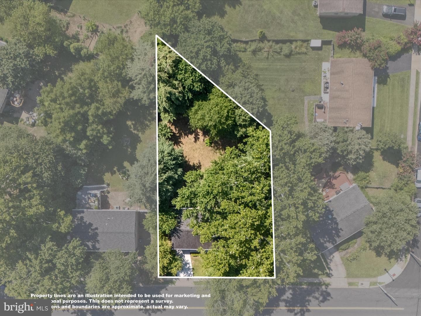 855 Park Avenue photo 47