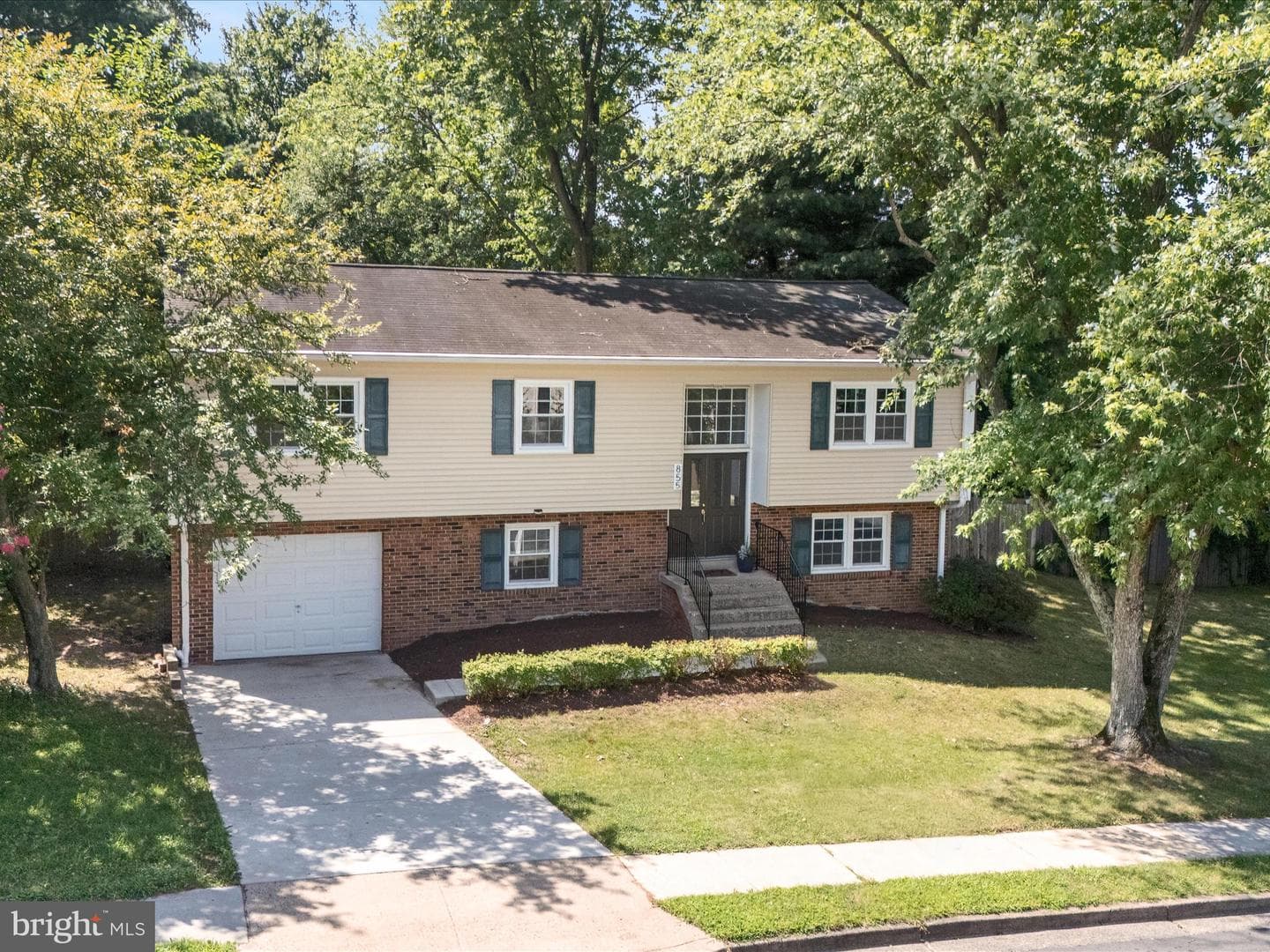 855 Park Avenue photo 5