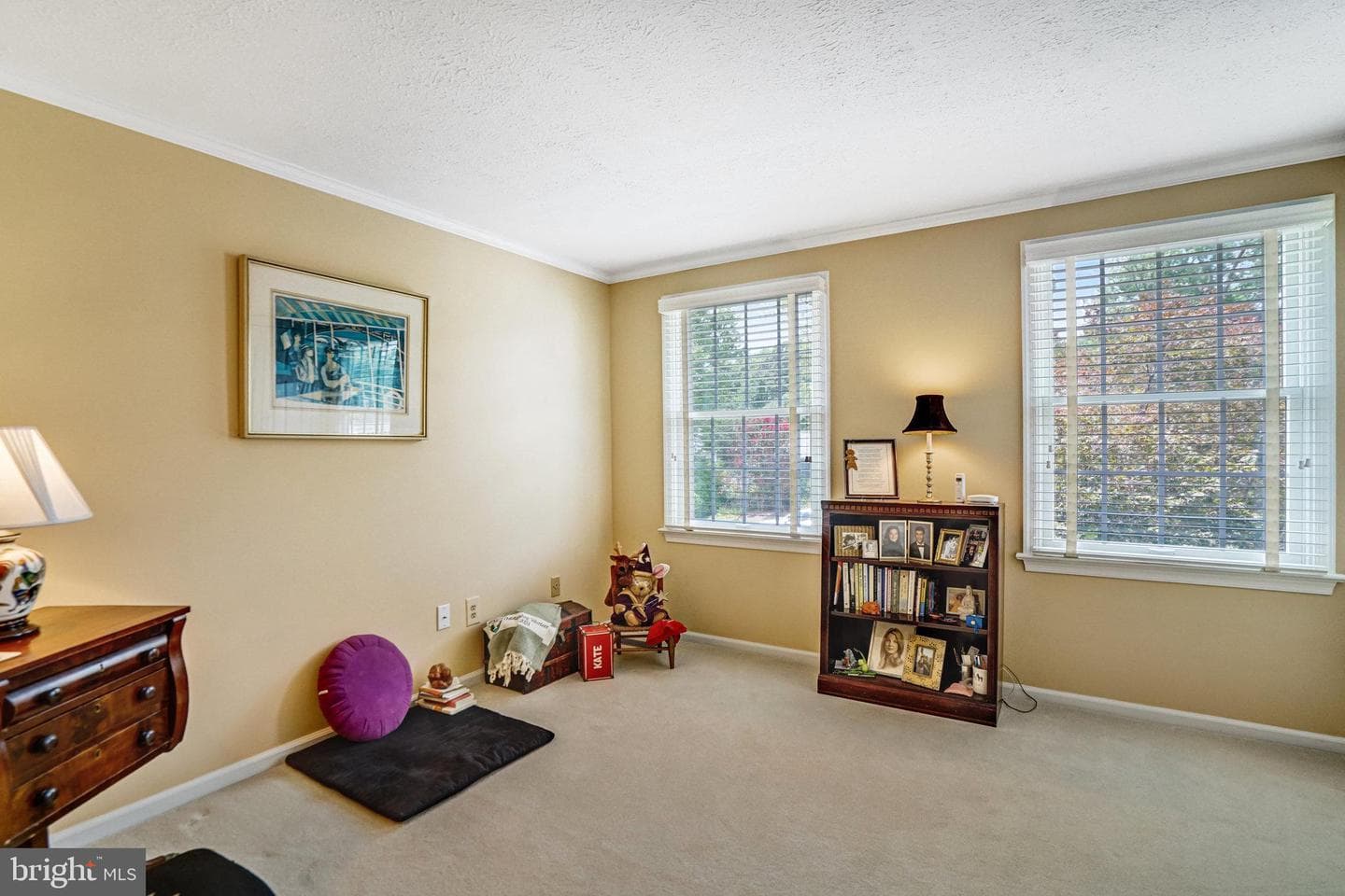 9403 Onion Patch Drive photo 40