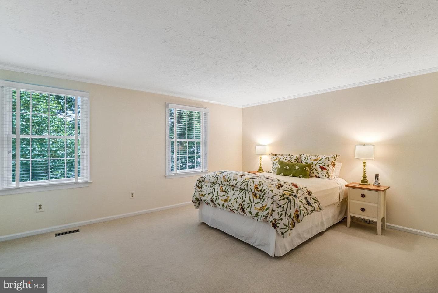 9403 Onion Patch Drive photo 48
