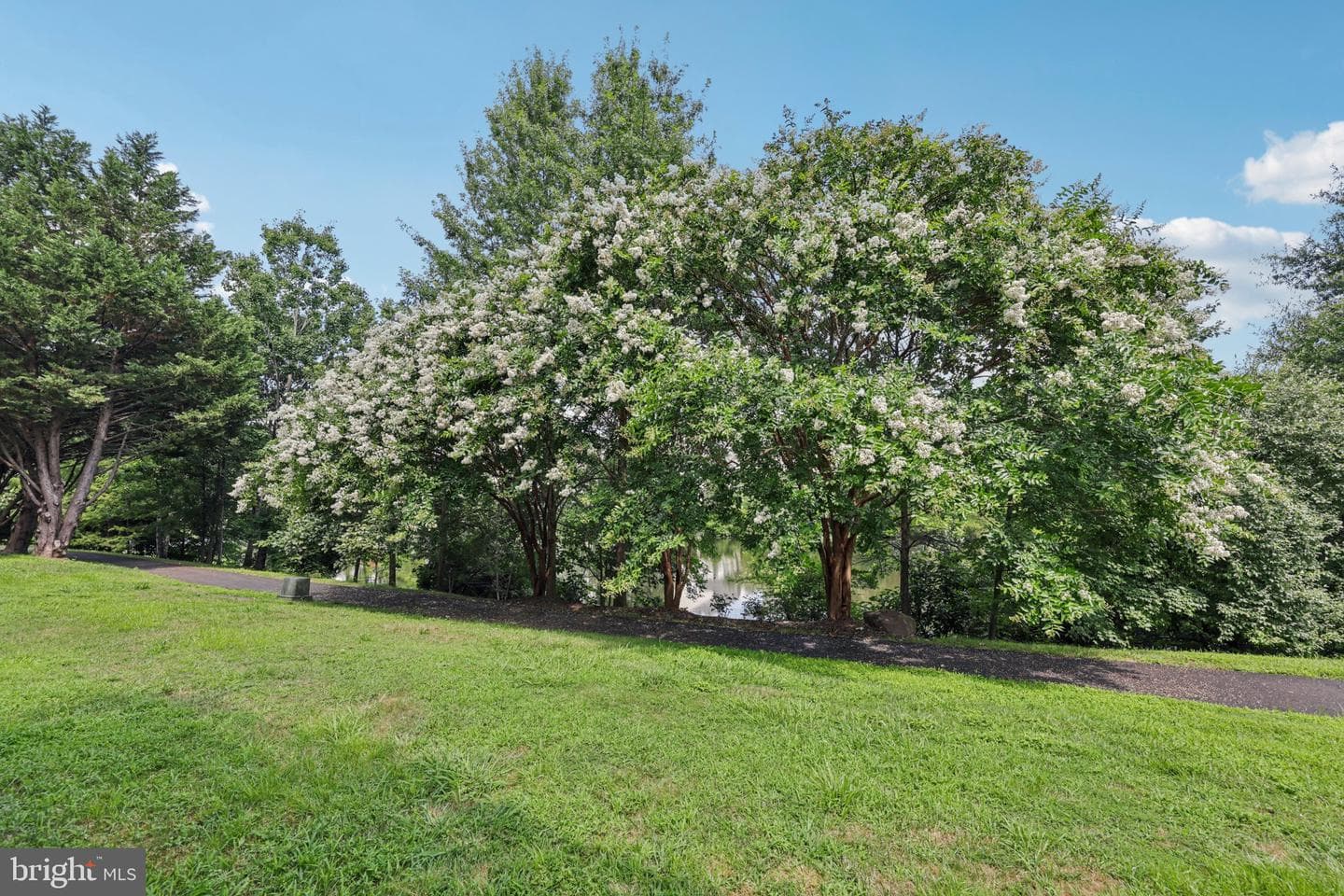 12582 Birkdale Way photo 19