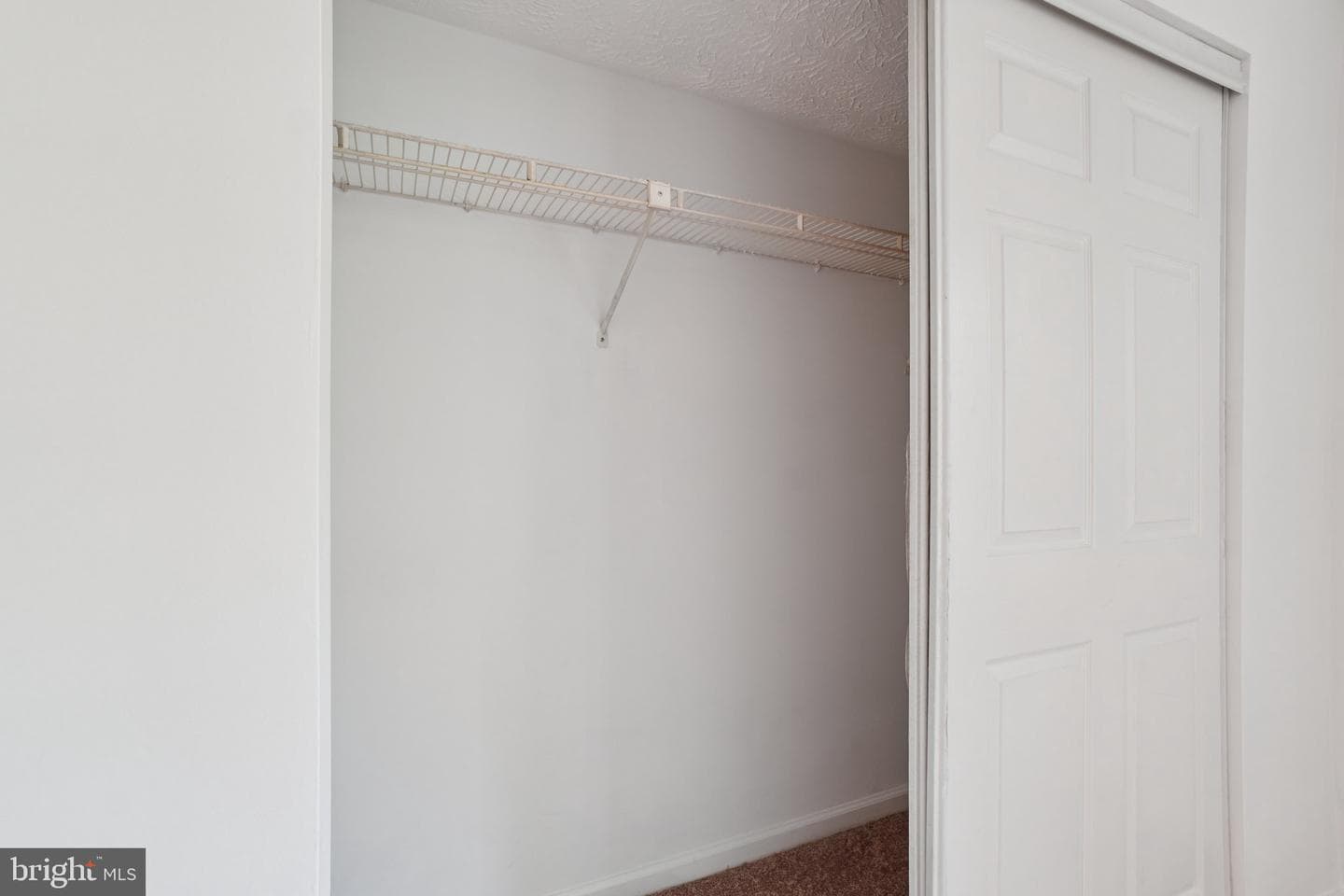 8386 Brockham Drive photo 19