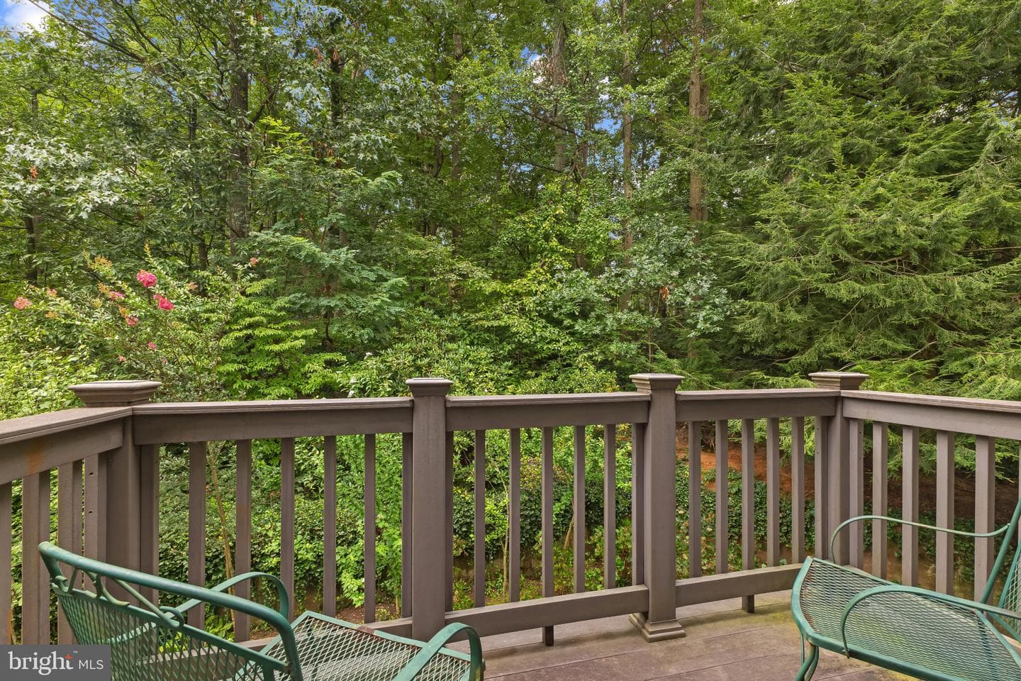 1201 Essex Manor Court photo 52