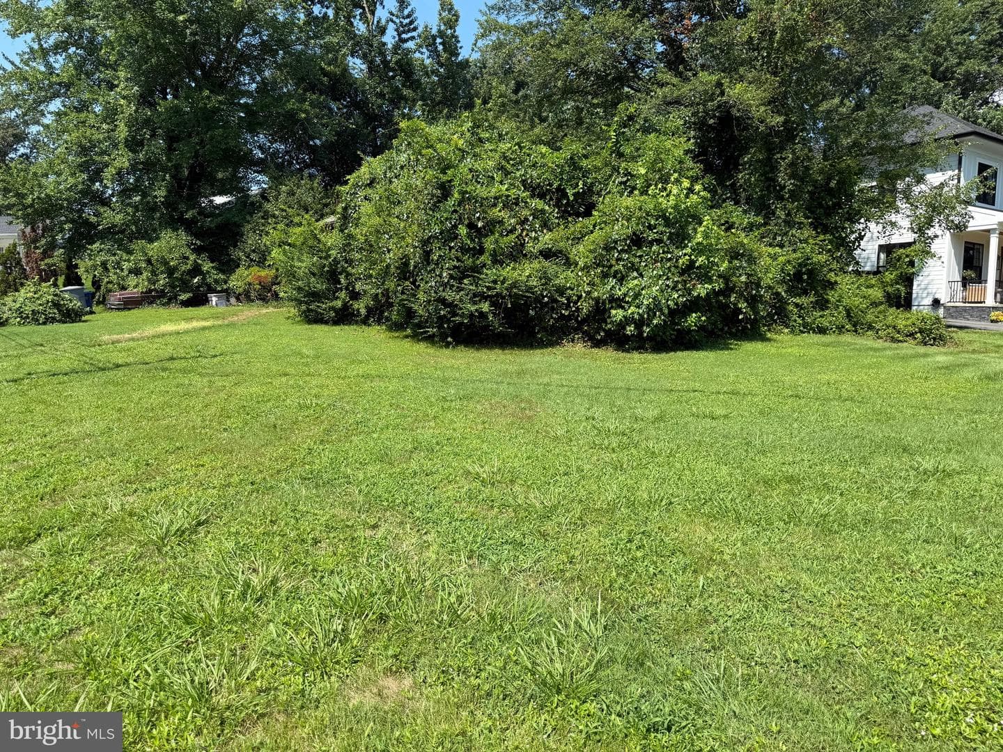 8100 Wingfield Place photo 4