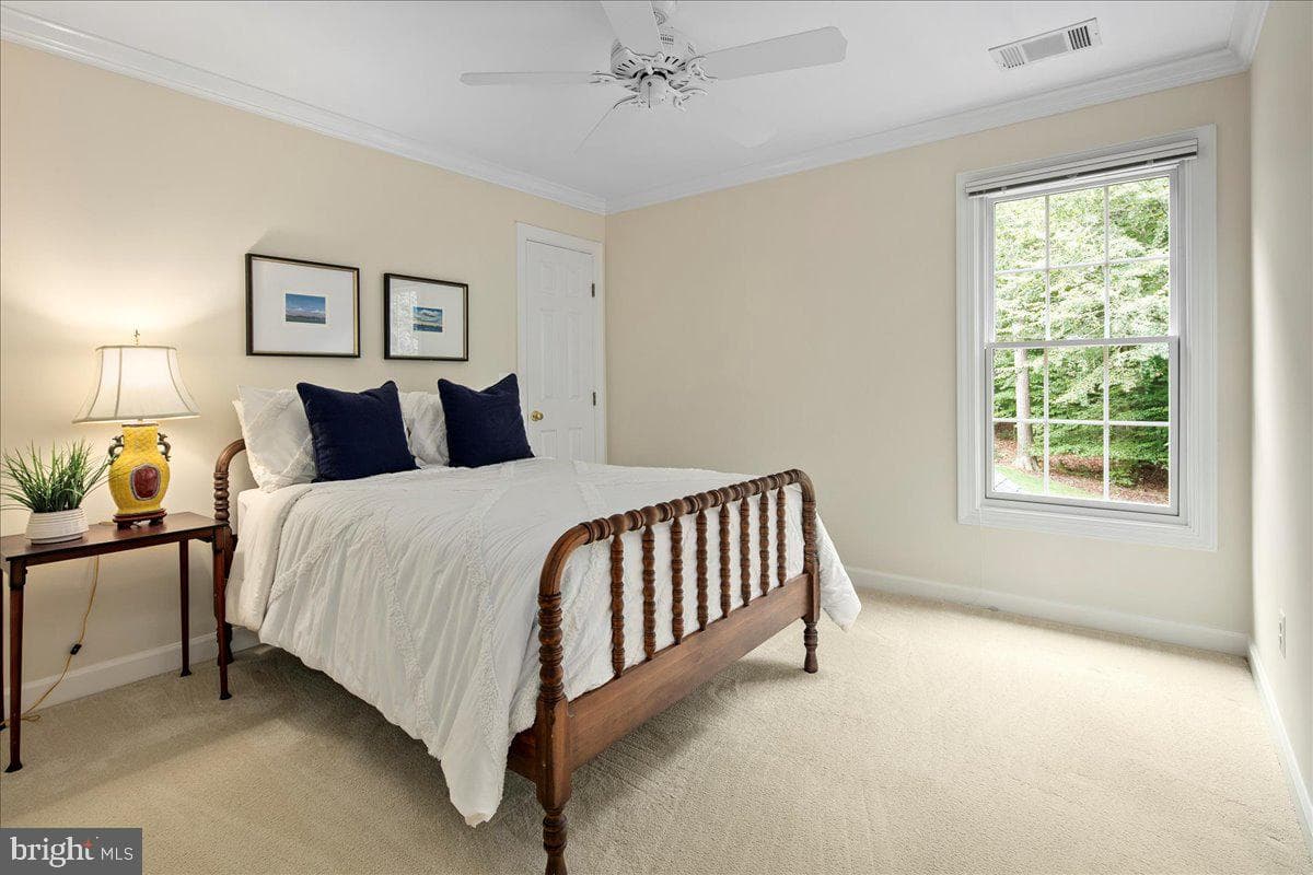 7520 Cannon Fort Drive photo 56