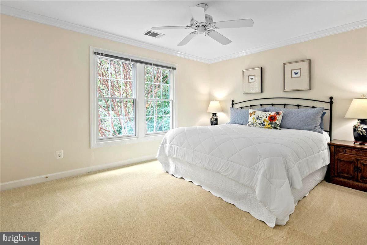 7520 Cannon Fort Drive photo 59