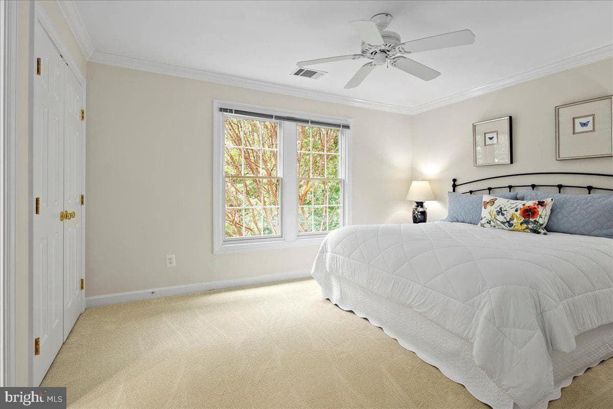 7520 Cannon Fort Drive photo 60