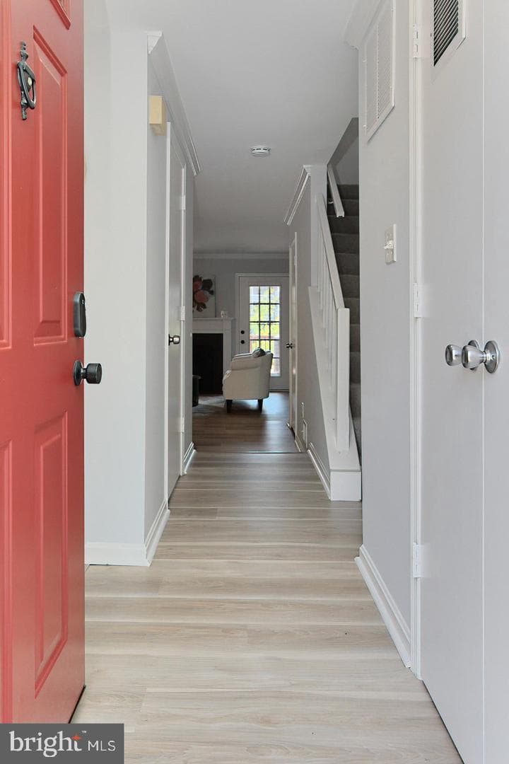 7527 Chrisland Cove photo 36