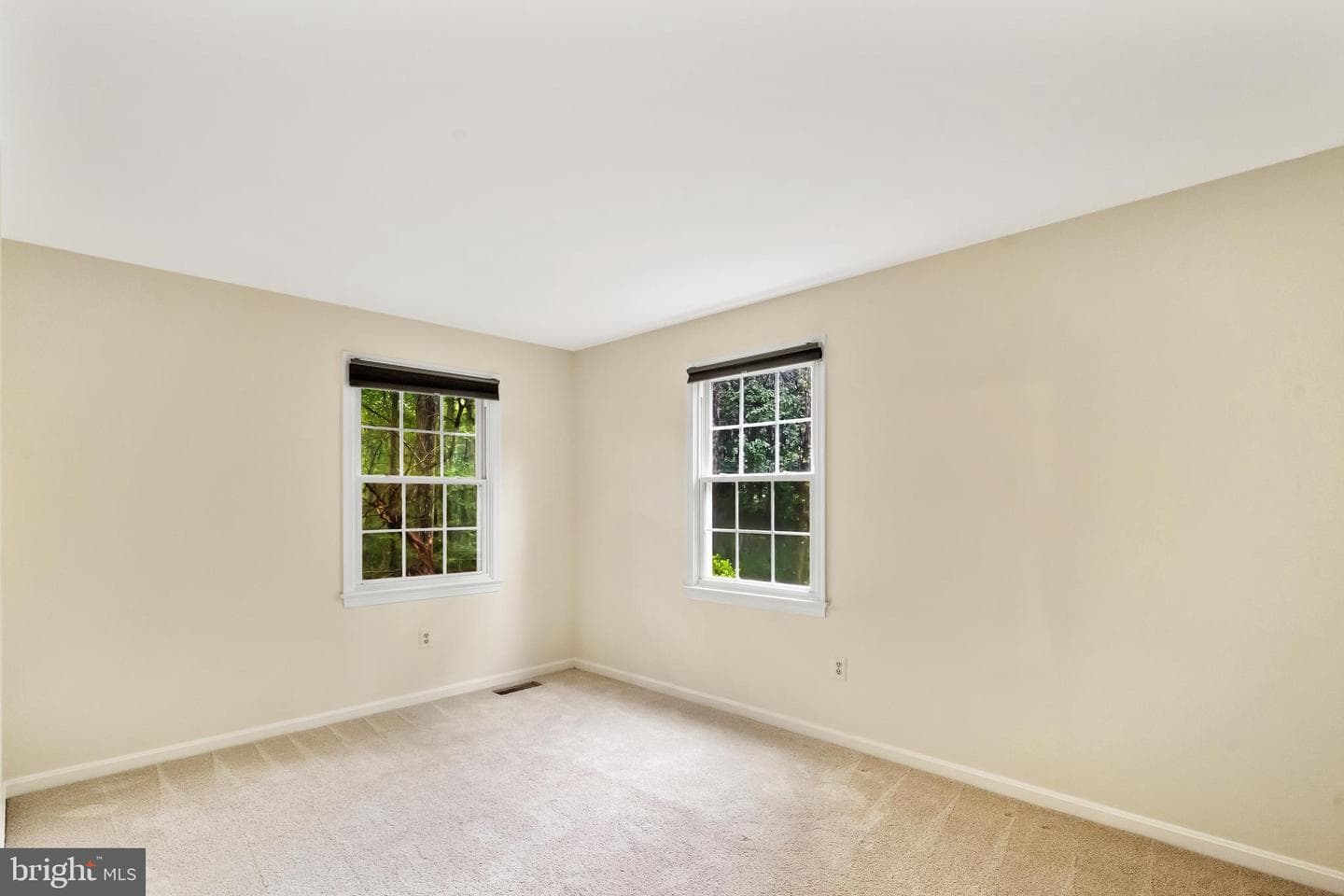 9509 Leathersmith Court photo 22