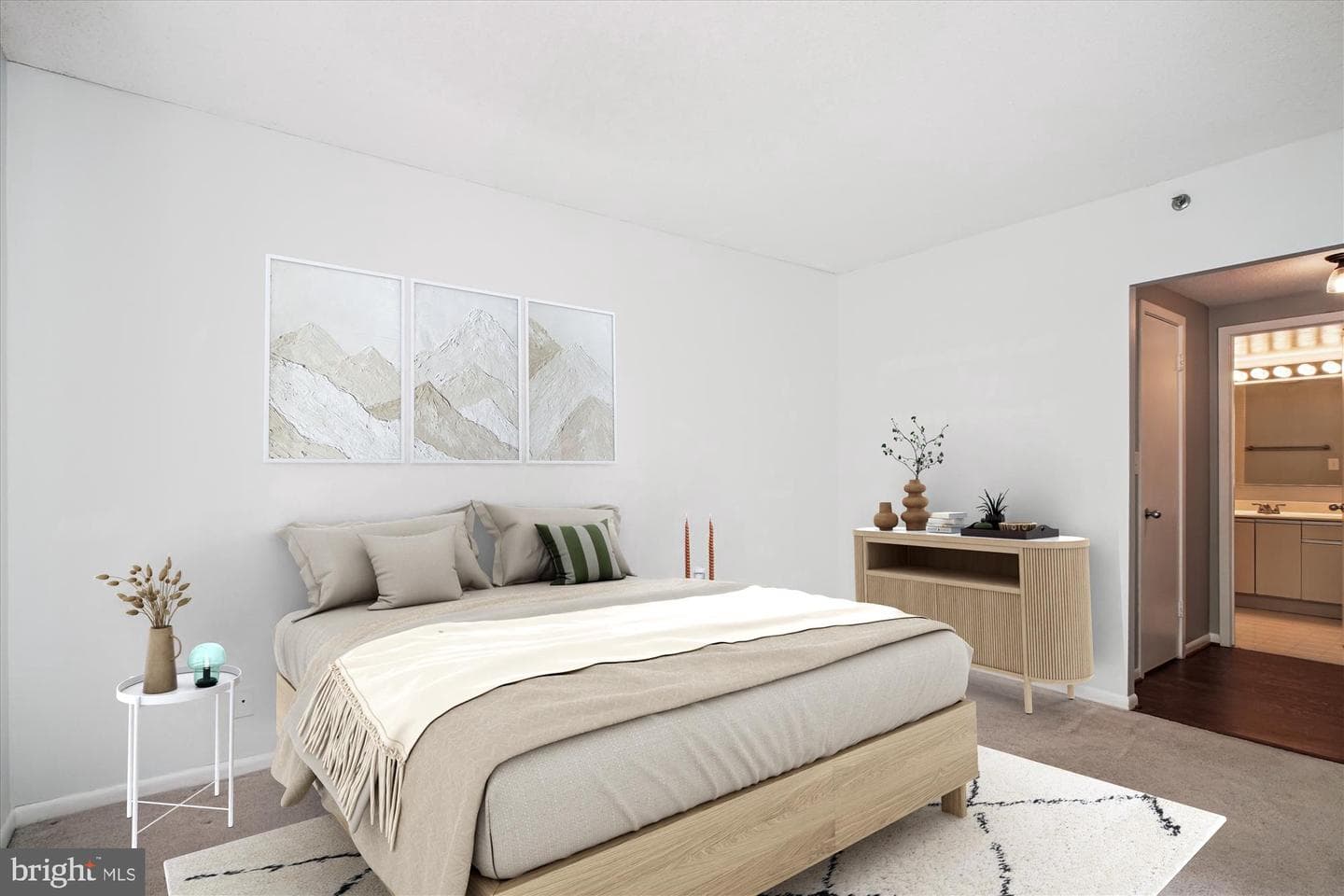 5505 Seminary Road #419n photo 17