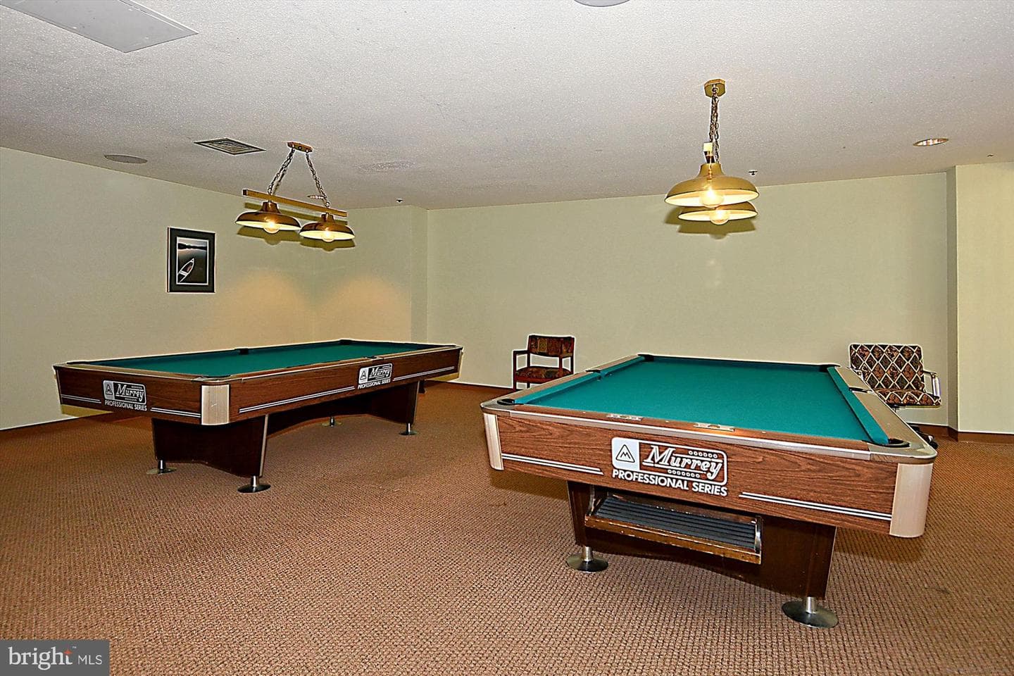 5505 Seminary Road #419n photo 30