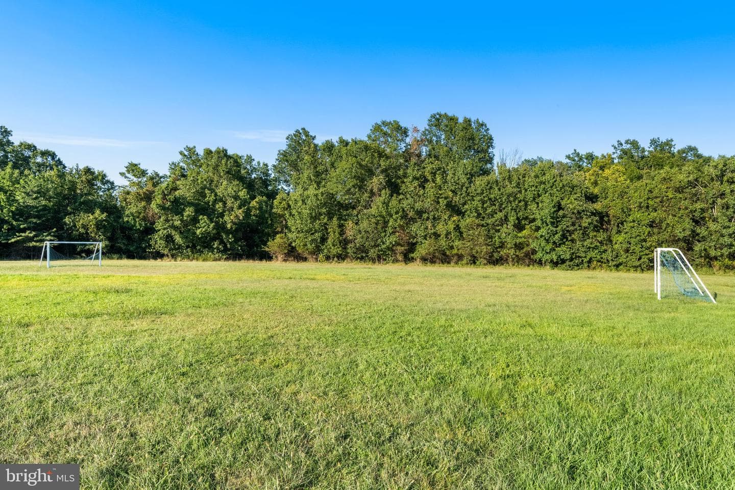 4426 Cub Run Road photo 45