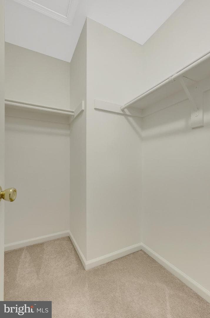 12480 Casbeer Drive photo 28