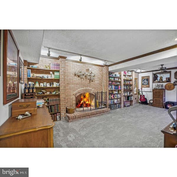 12147 Holly Knoll Circle photo 13