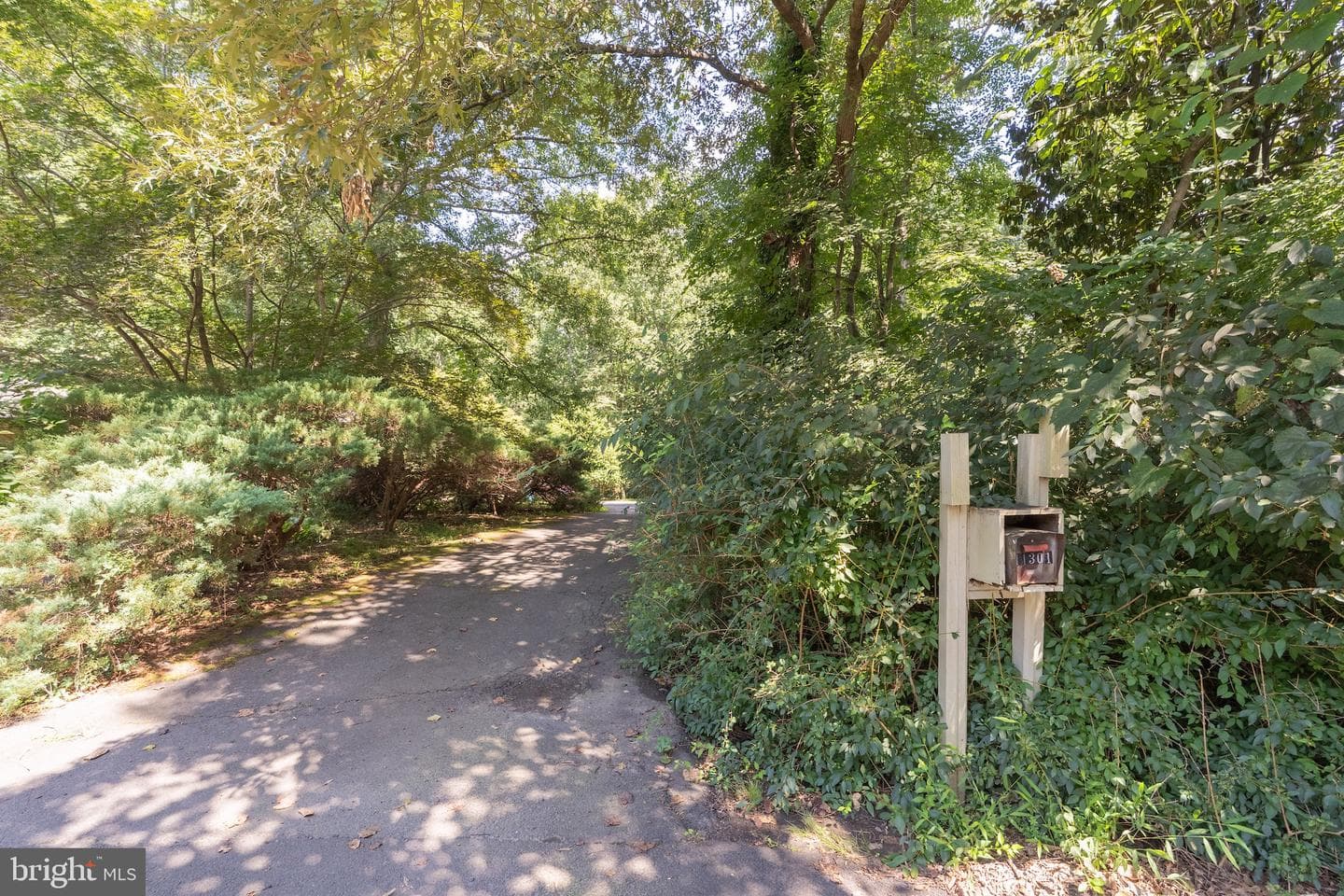 11301 Fieldstone Lane photo 42