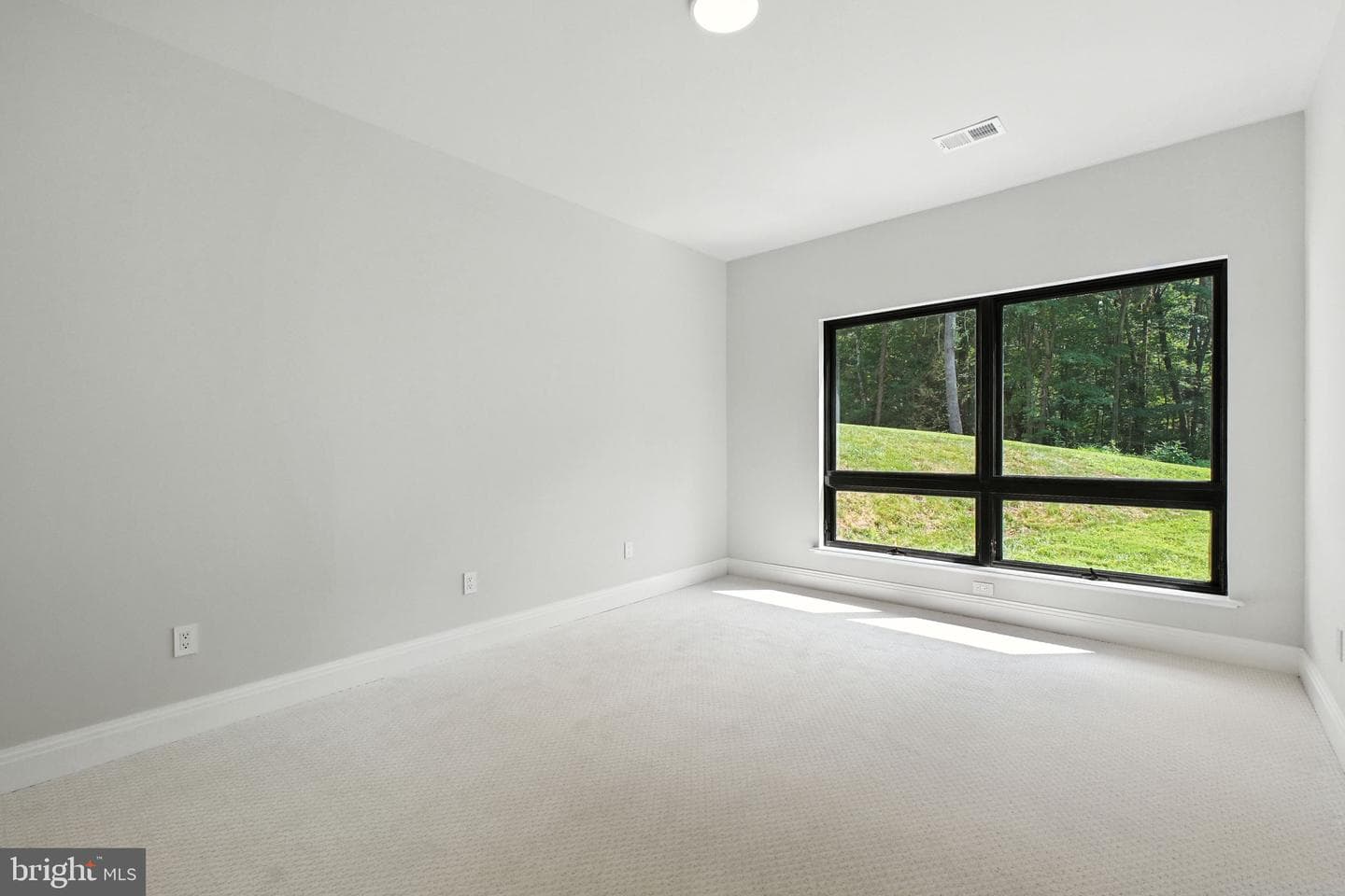 1013 Galium Court photo 27