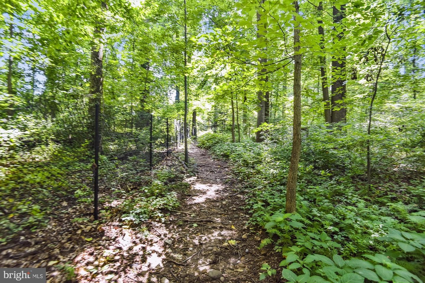 2230 George C Marshall Drive #617 photo 59