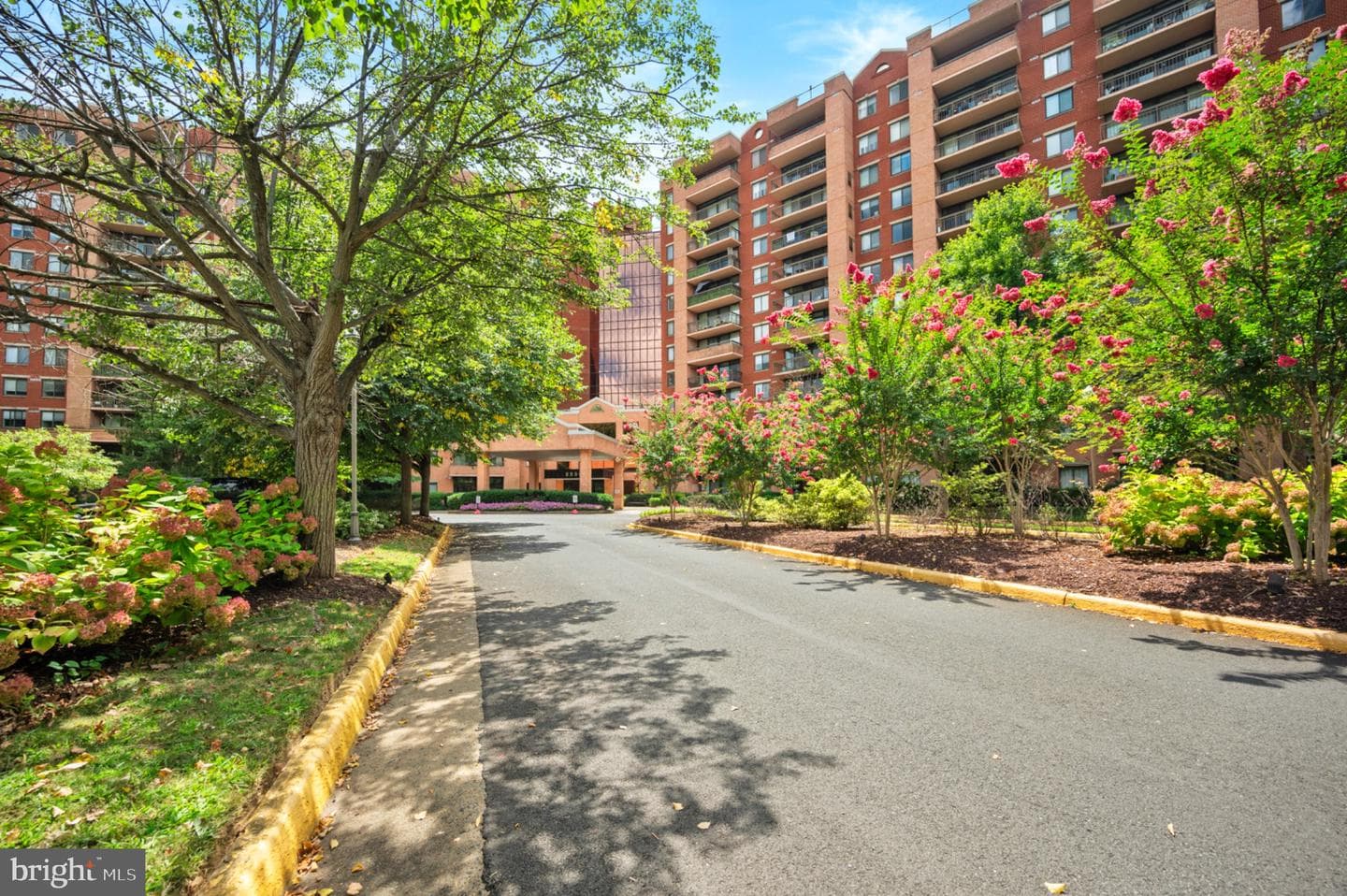 2230 George C Marshall Drive #515 photo 2