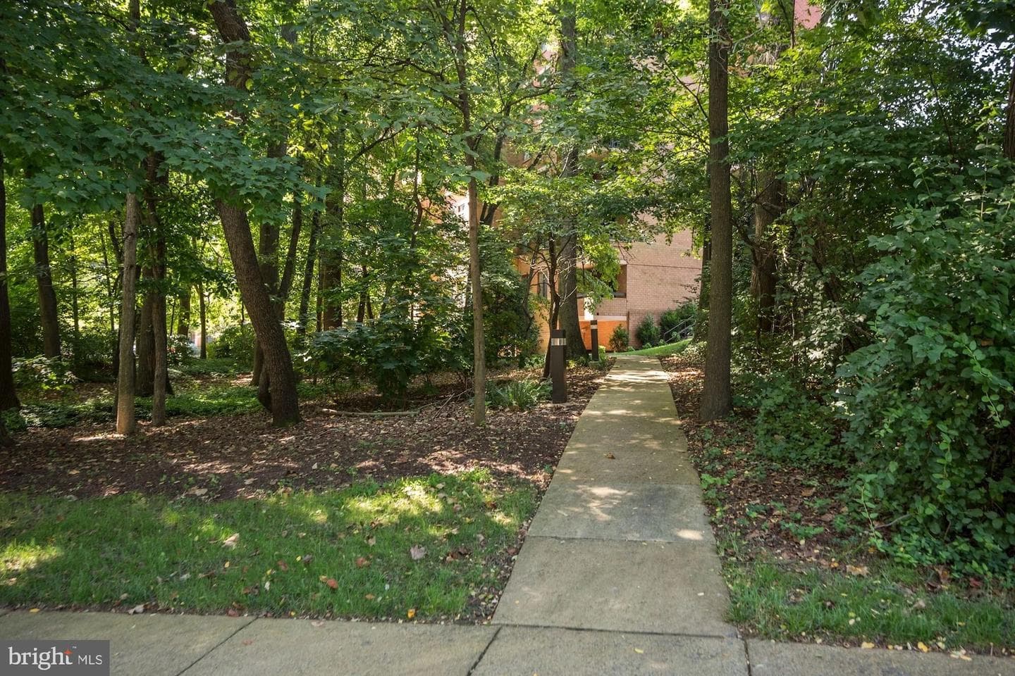 2230 George C Marshall Drive #515 photo 41