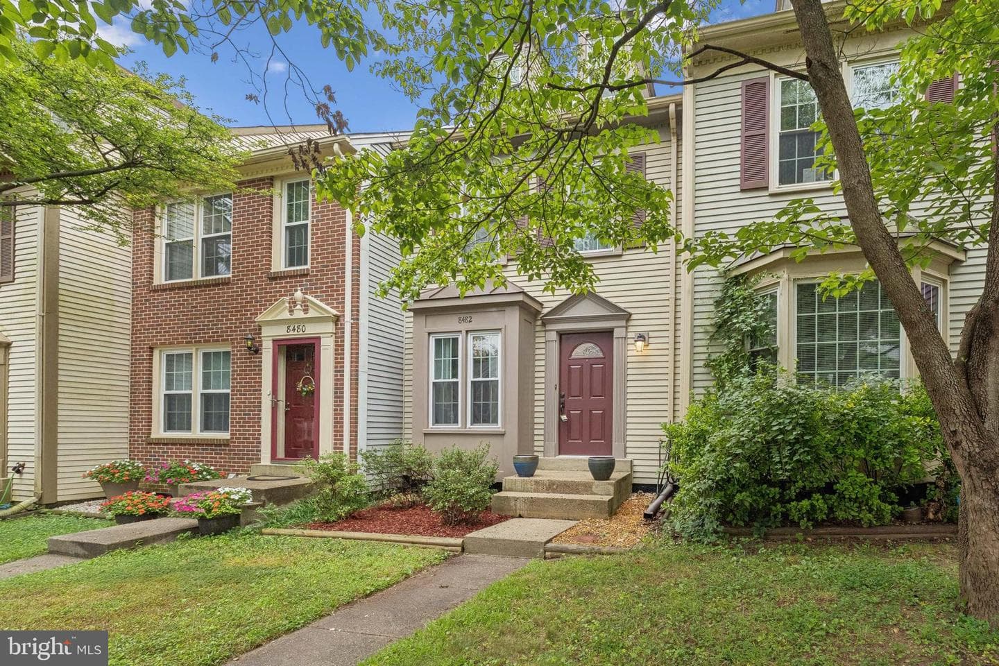 8482 Springfield Oaks Drive photo 3