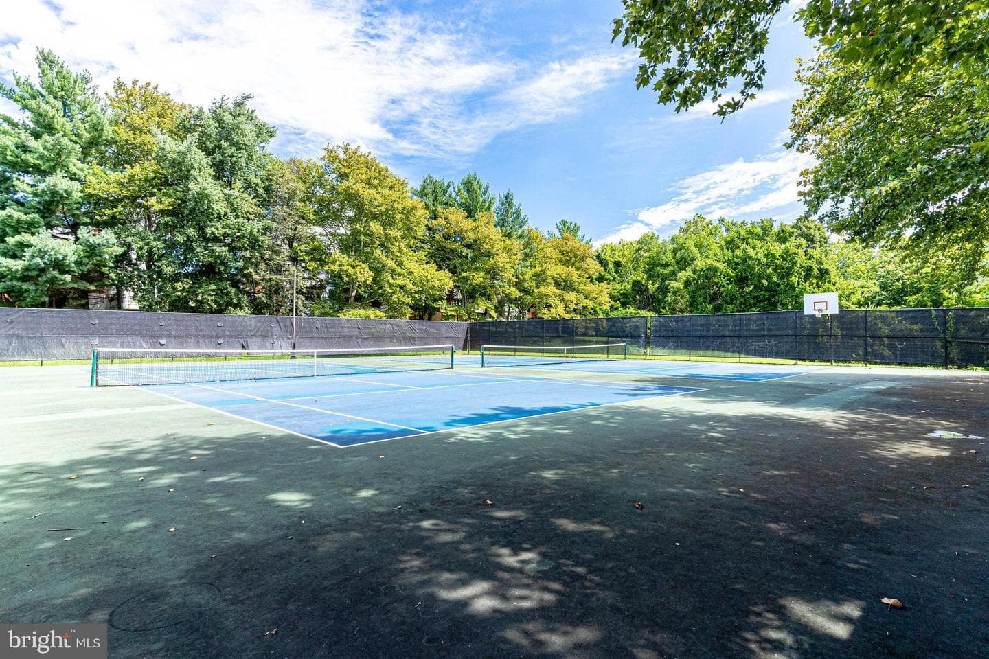 3717 Keefer Court photo 33