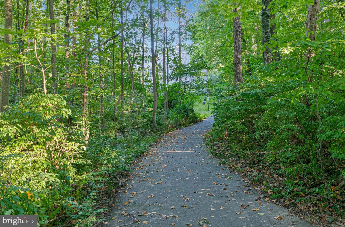 7711 Lafayette Forest Drive #02 photo 28