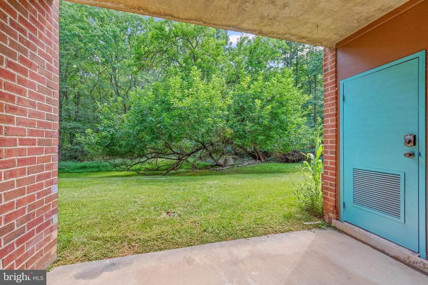 11841 Shire Court #2c photo 21