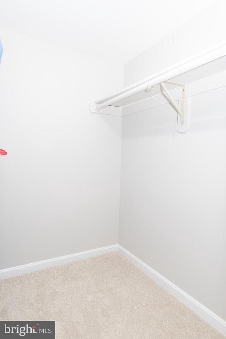 9705 Rambling Ridge Court photo 54