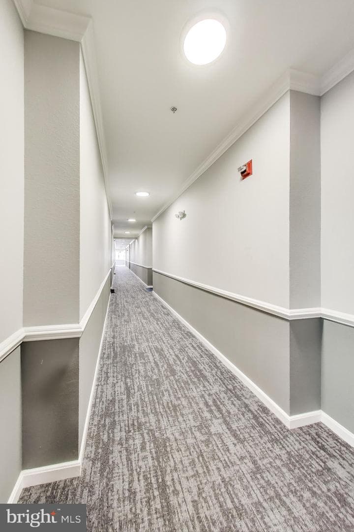 1571 Spring Gate Drive #6208 photo 5