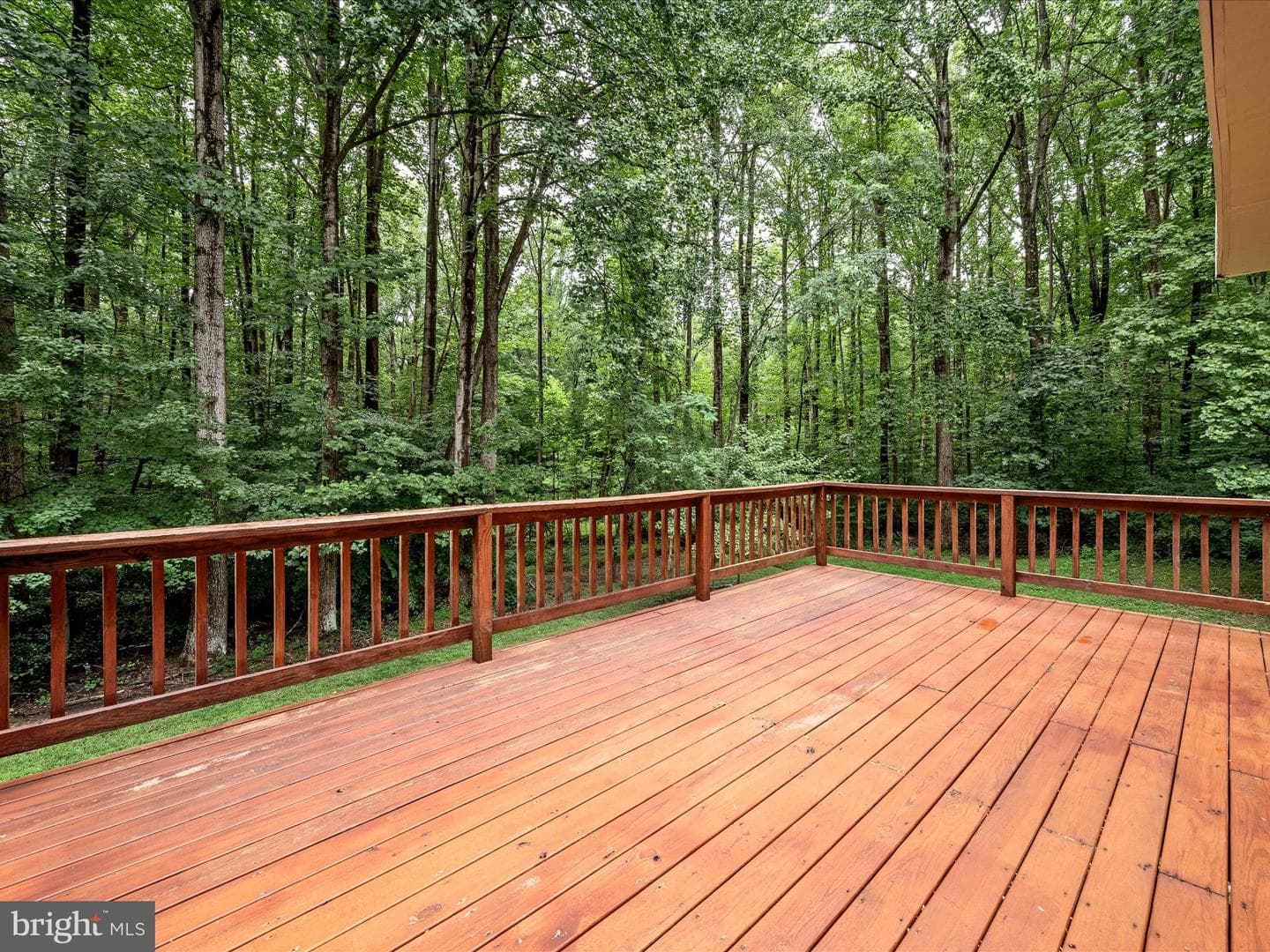 11132 Flora Lee Drive photo 53