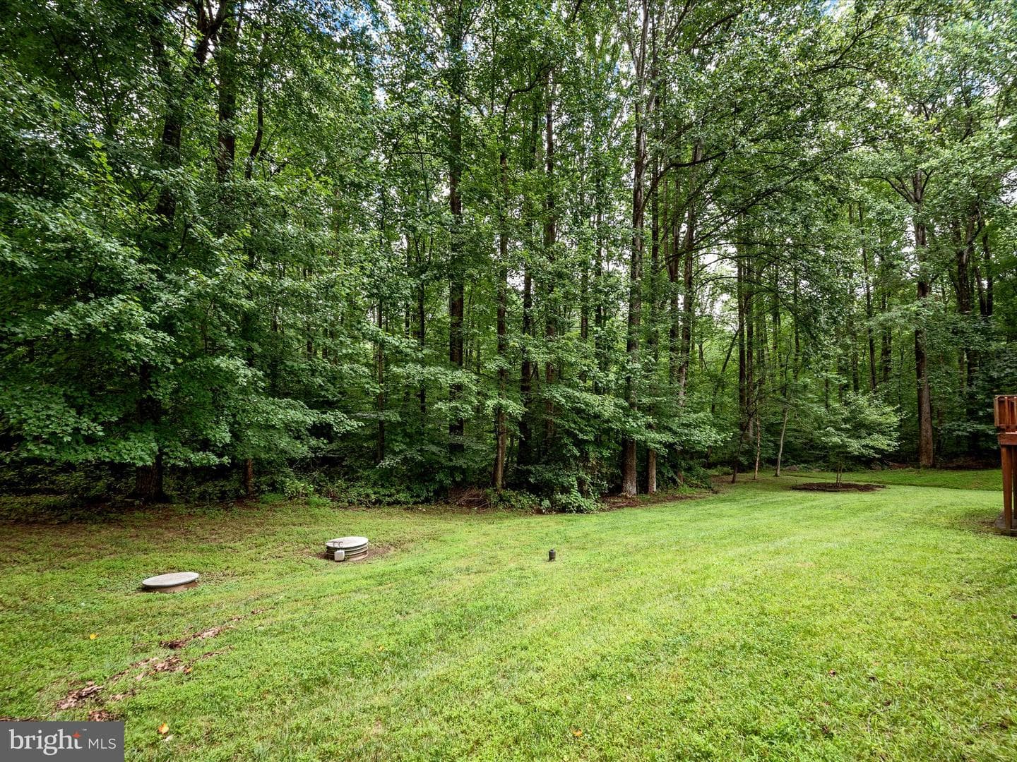 11132 Flora Lee Drive photo 57