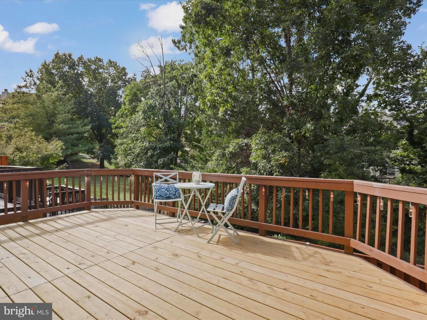 14545 Creek Branch Court photo 14