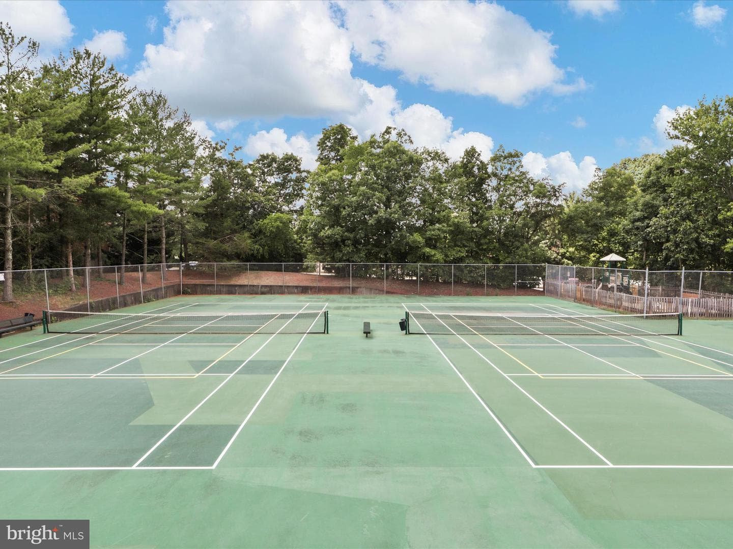 14545 Creek Branch Court photo 42