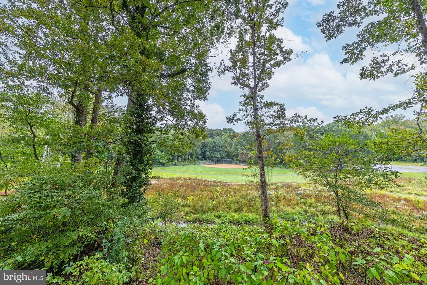 4009 Estabrook Drive photo 65