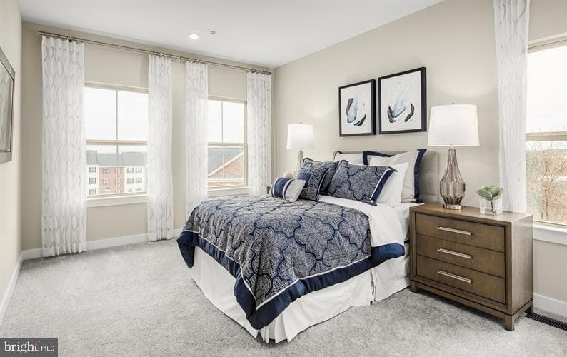 4366 Black Tulip Way photo 12