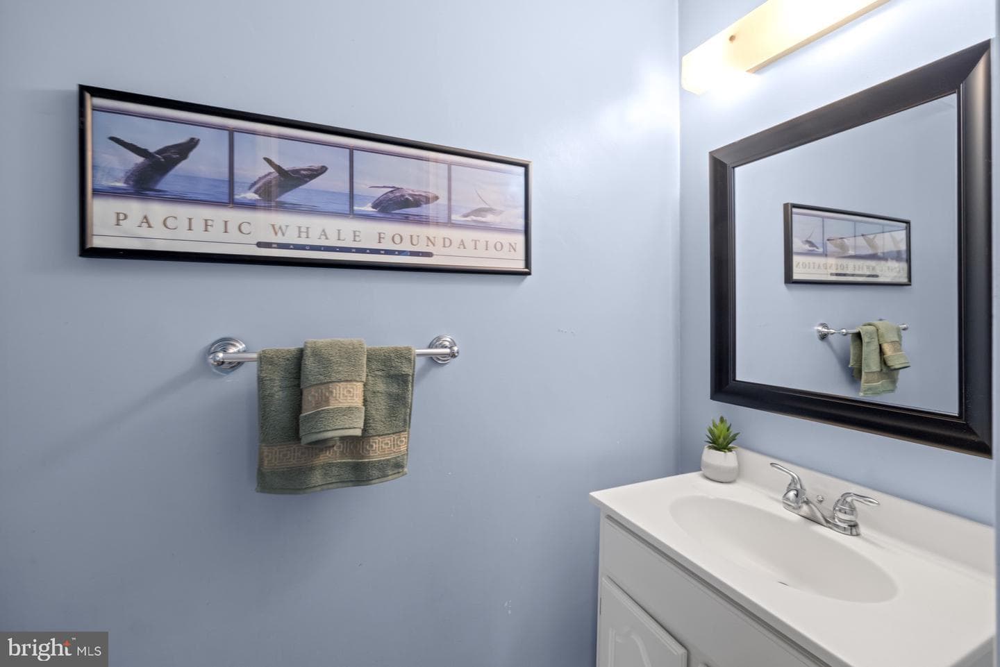 3123 Pebble Hill Lane photo 8