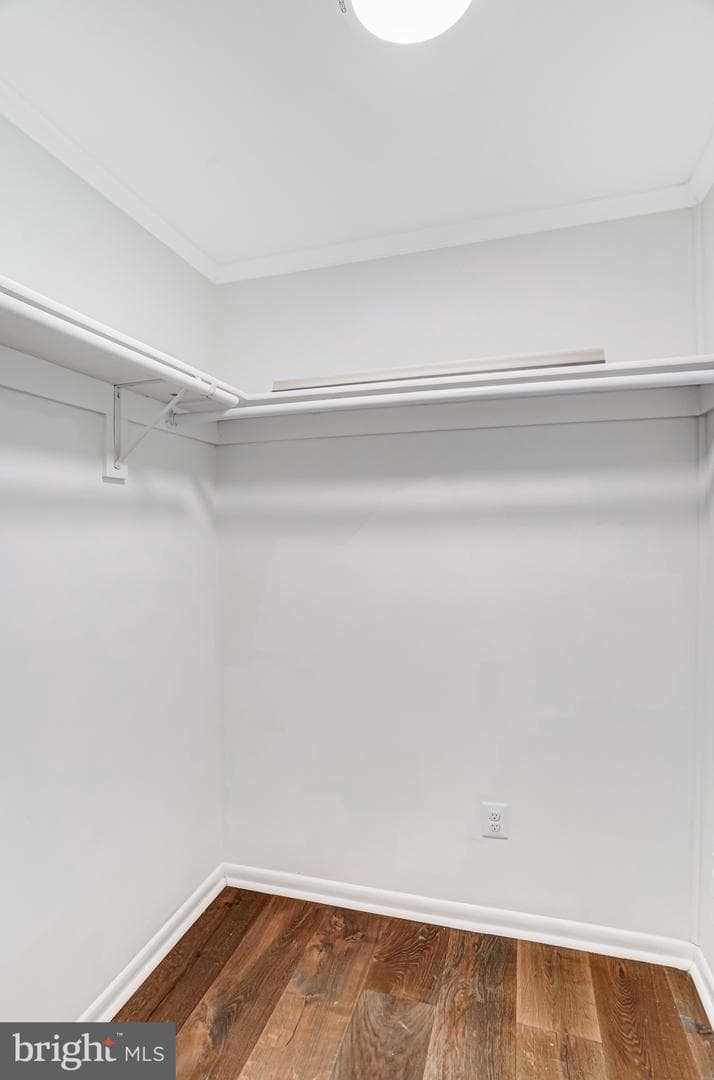 13212 Poplar Tree Road photo 37