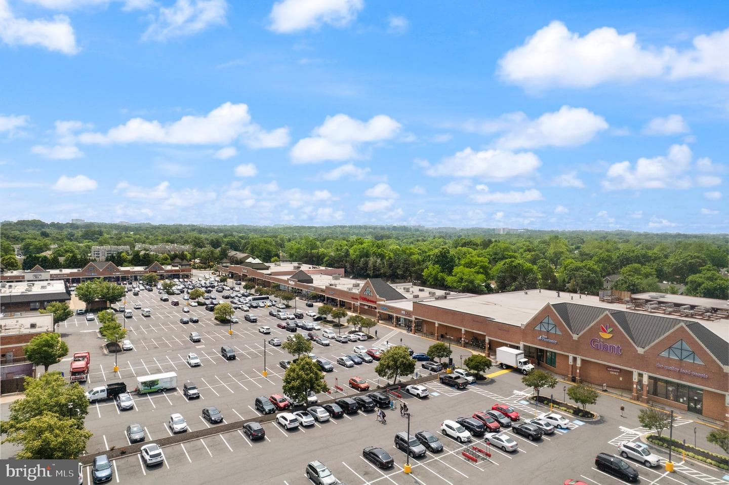 13212 Poplar Tree Road photo 63