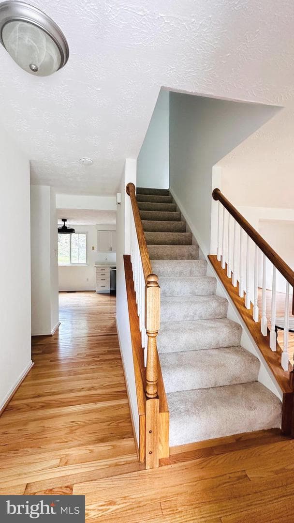 1140 Riva Ridge Drive photo 14