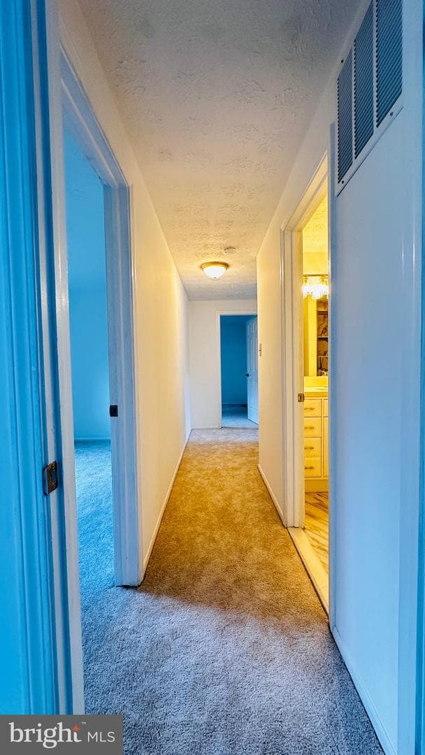 1140 Riva Ridge Drive photo 15