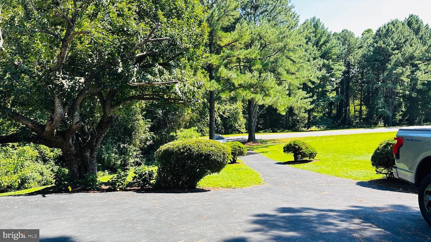 1140 Riva Ridge Drive photo 37