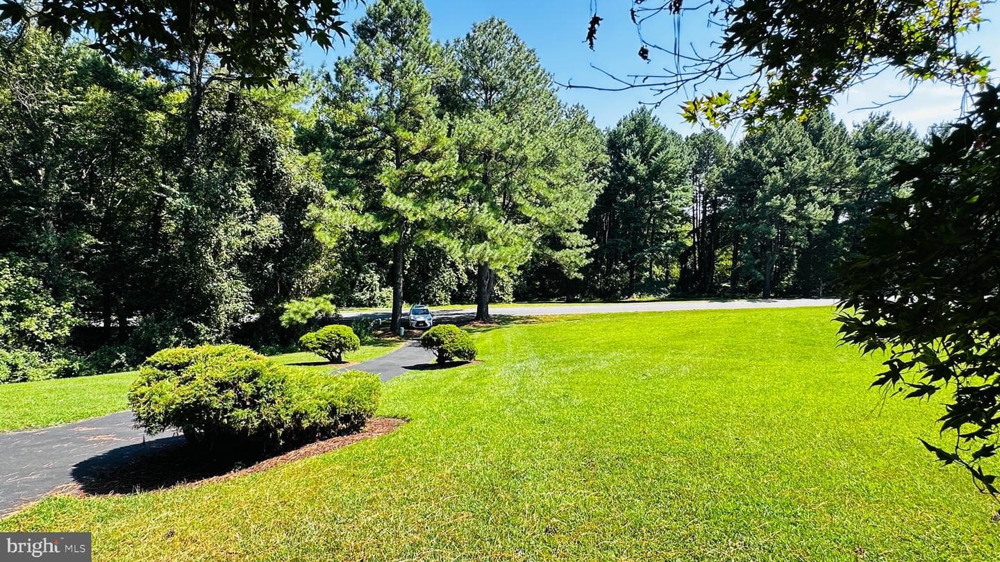 1140 Riva Ridge Drive photo 38
