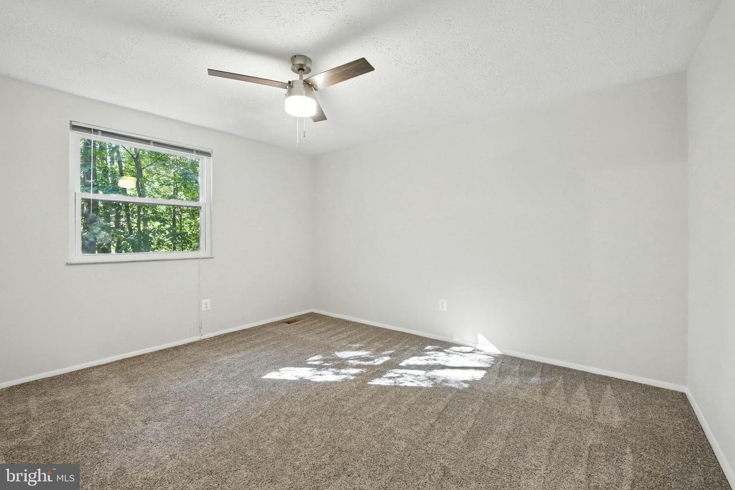 12817 Framingham Court photo 30