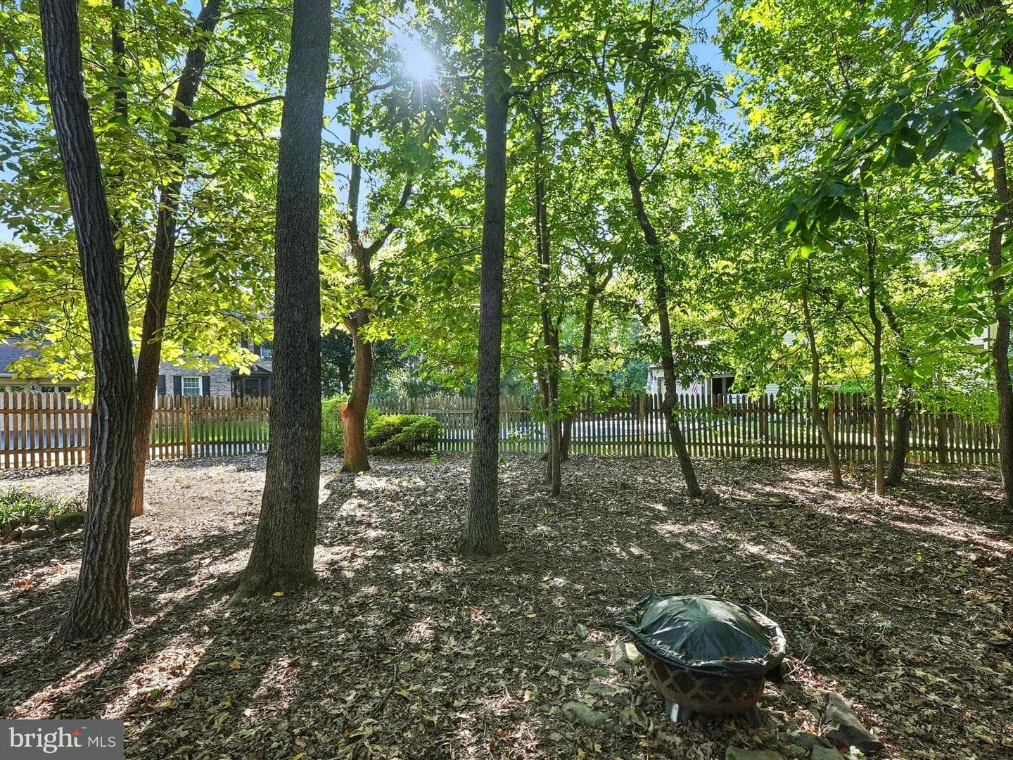 12817 Framingham Court photo 37