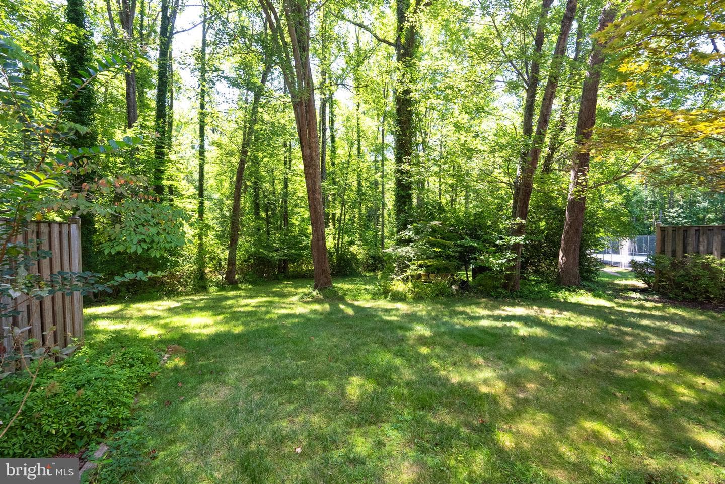 3187 Readsborough Court photo 32