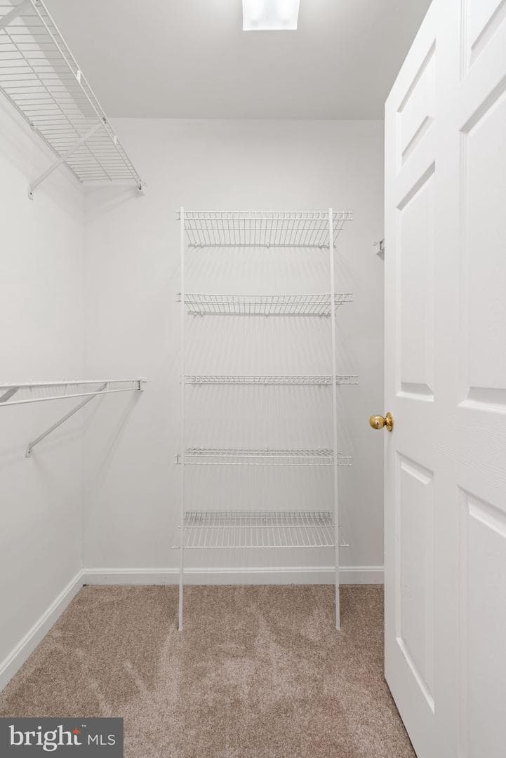 2497 Angeline Drive #104 photo 26
